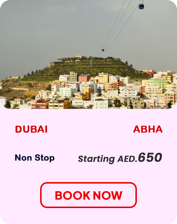 Dubai to abha