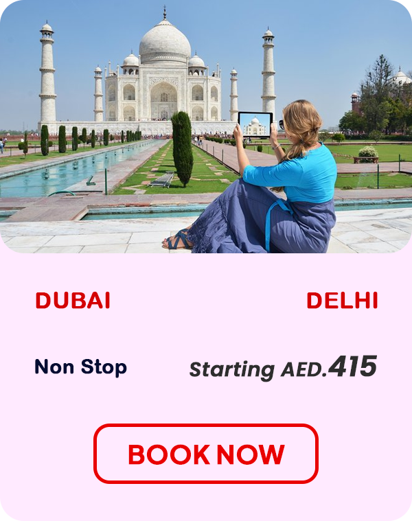 Dubai to delhi