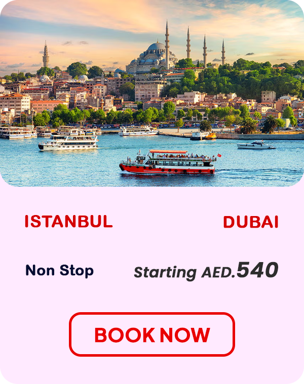 Dubai to istanbul