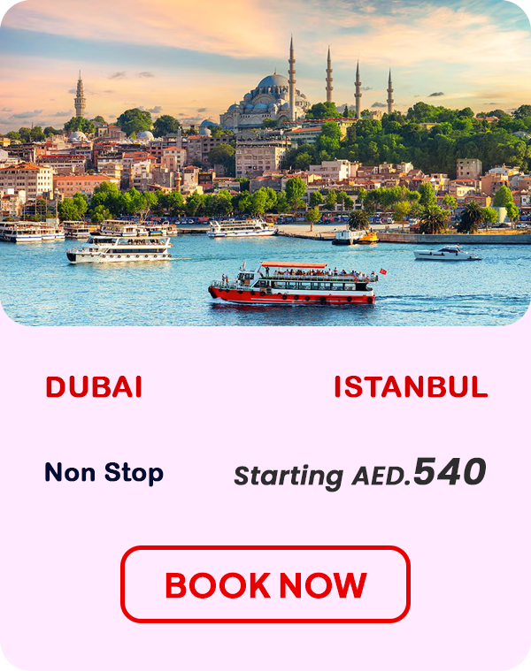 Dubai to istanbul